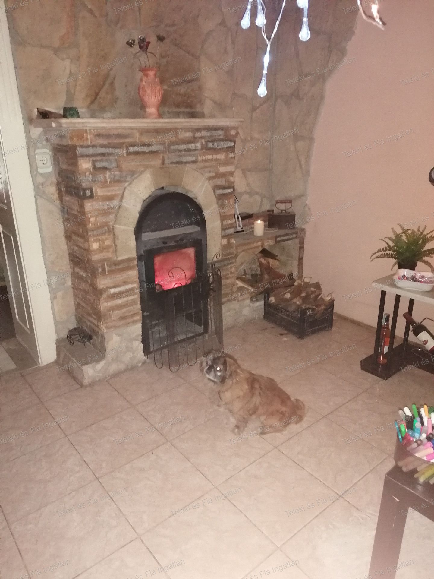 Albertirsa Eladó  Családi ház  Albertirsa Eladó  Családi ház Pest megye 