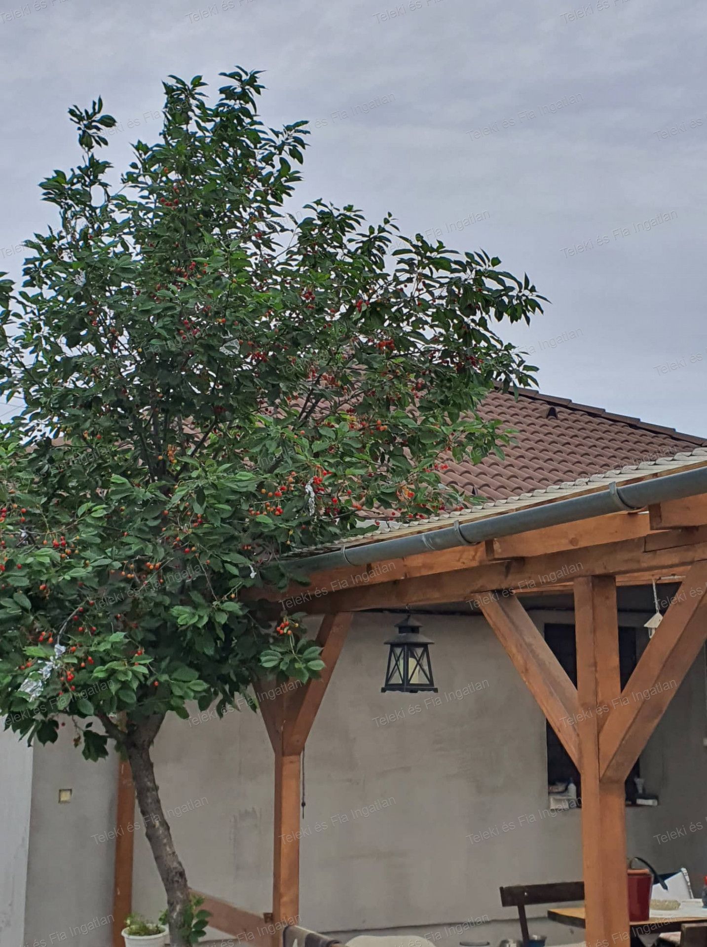 Albertirsa Eladó  Családi ház  Albertirsa Eladó  Családi ház Pest megye 