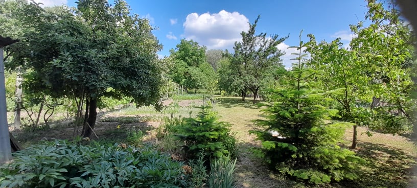 Sárospatak Eladó  Családi ház  Sárospatak Eladó  Családi ház Borsod-Abaúj-Zemplén megye 