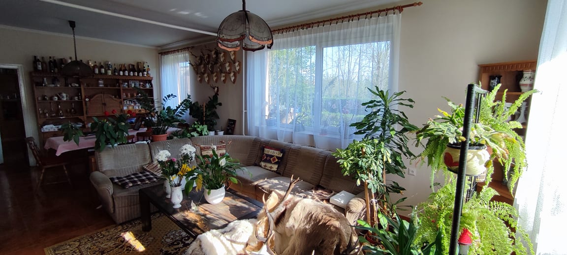 Sátoraljaújhely Eladó  Családi ház  Sátoraljaújhely Eladó  Családi ház Borsod-Abaúj-Zemplén megye 