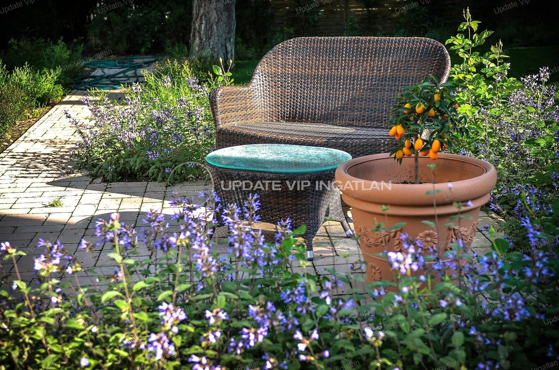 Siófok Eladó  Családi ház  Siófok Eladó  Családi ház Somogy megye 