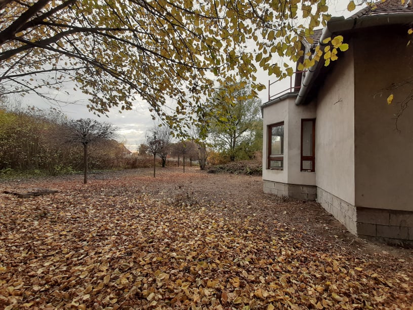 Ráckeve Családi ház Eladó