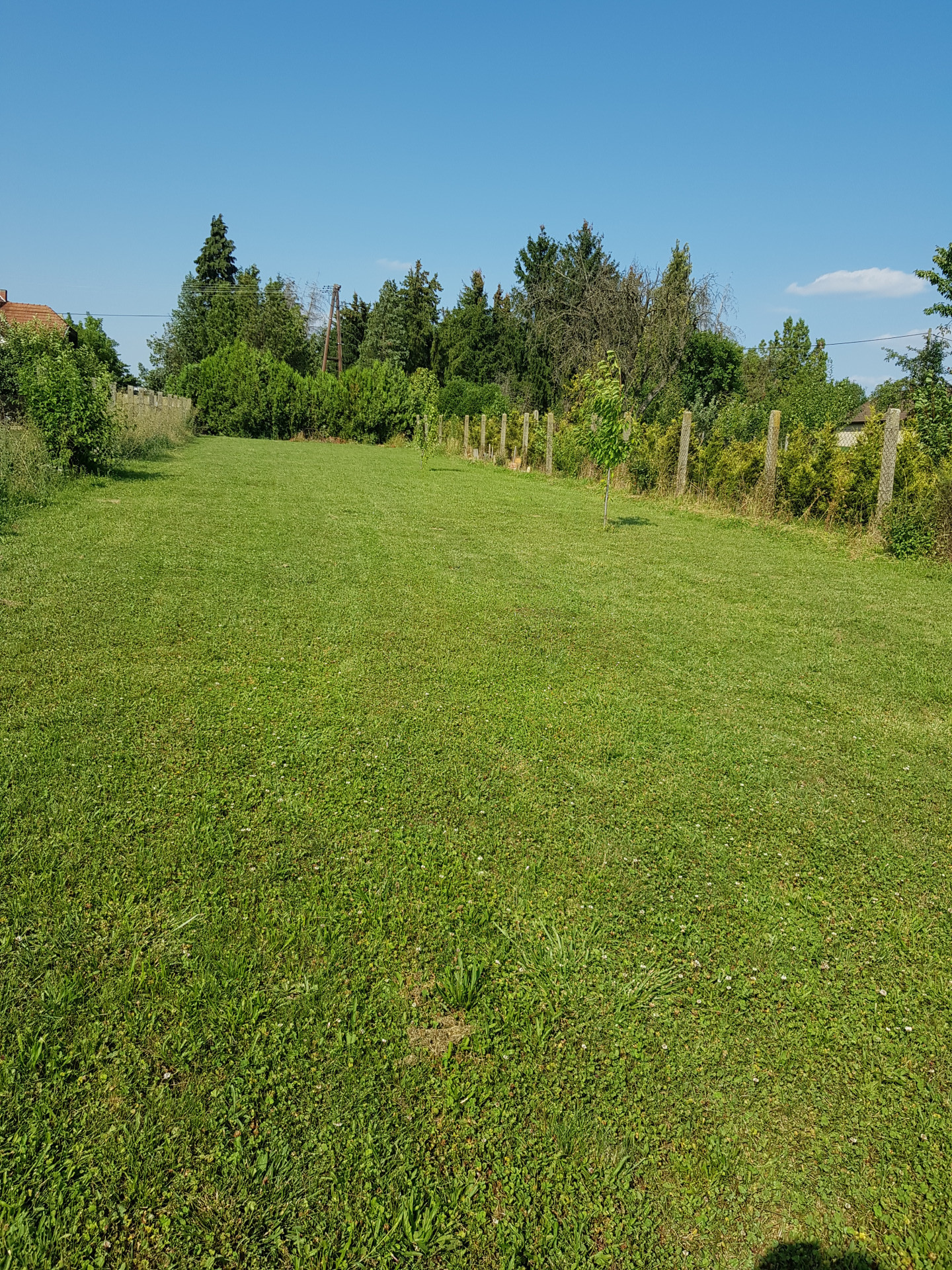 Zsira Eladó  Telek/földterület  Zsira Eladó  Telek/földterület Győr-Moson-Sopron megye 