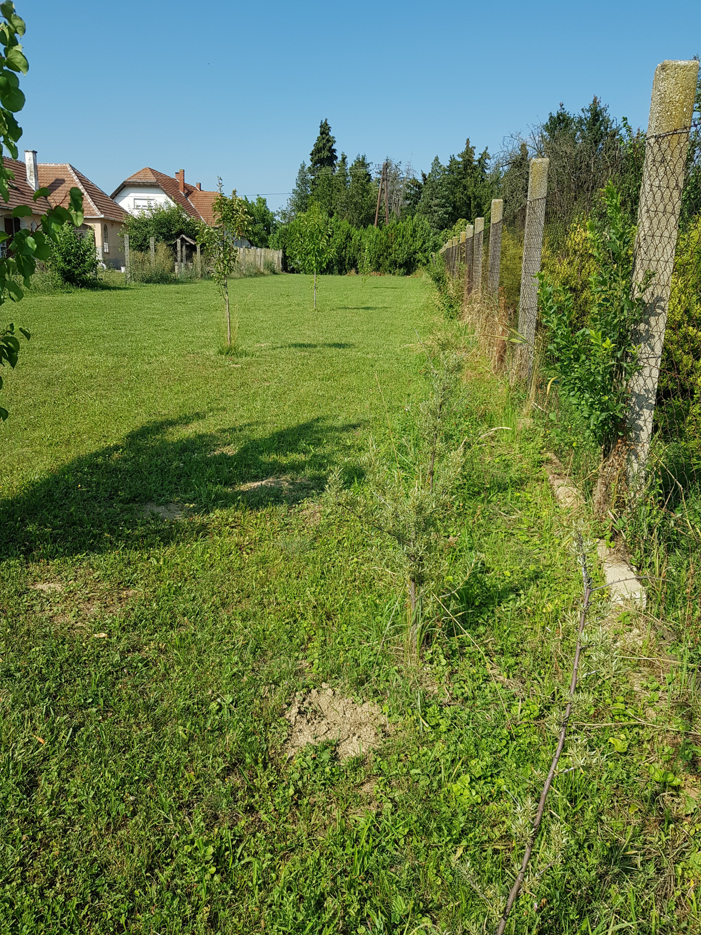 Zsira Eladó  Telek/földterület  Zsira Eladó  Telek/földterület Győr-Moson-Sopron megye 