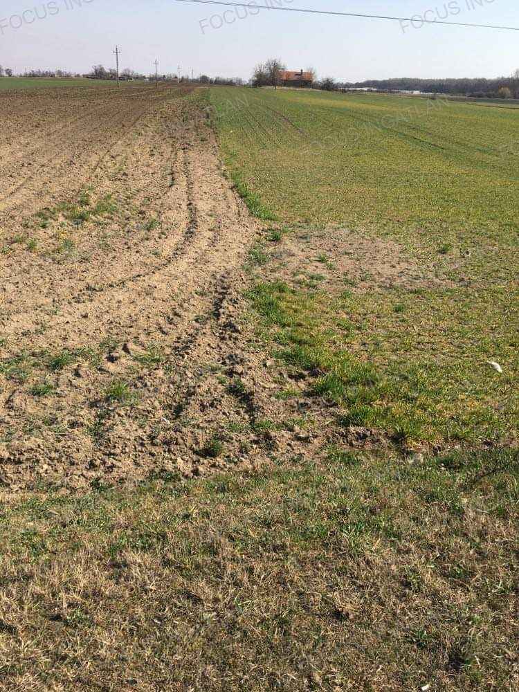 Kecskemét Eladó  Telek/földterület  Kecskemét Eladó  Telek/földterület Bács-Kiskun megye 